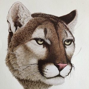 Large Print - Signed- Panther- Valan Stieler- 1984